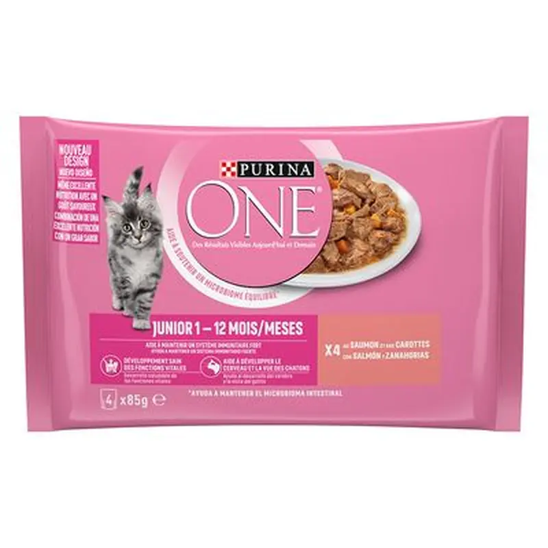 PURINA ONE Saver Pack 24 x 85g - Coat & Hairball Chicken and Salmon