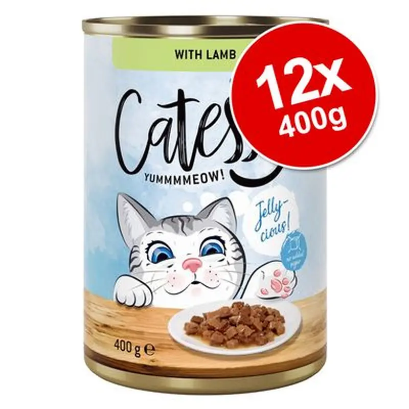 Catessy Chunks in Gravy or Jelly 12 x 400g - Beef in Jelly