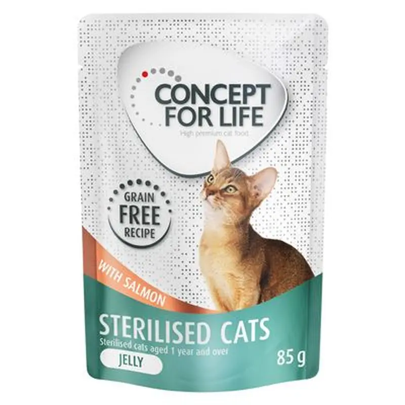 12 x 85g Concept for Life Wet Cat Food  Special Price! * - Kitten - in Jelly (12 x 85g)