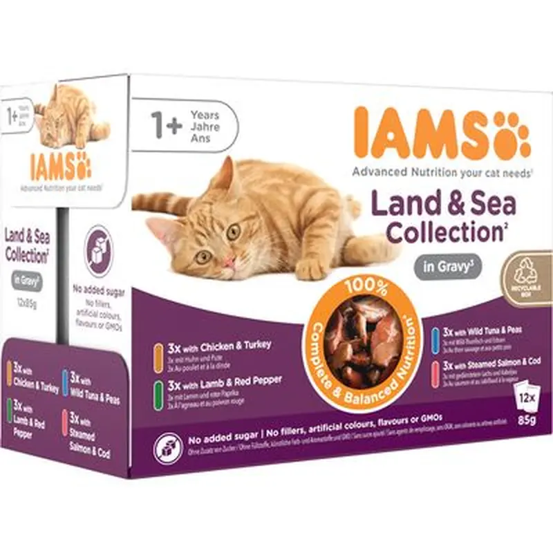 IAMS Advanced Nutrition Adult  Land & Sea Collection - in Jelly (12 x 85g)