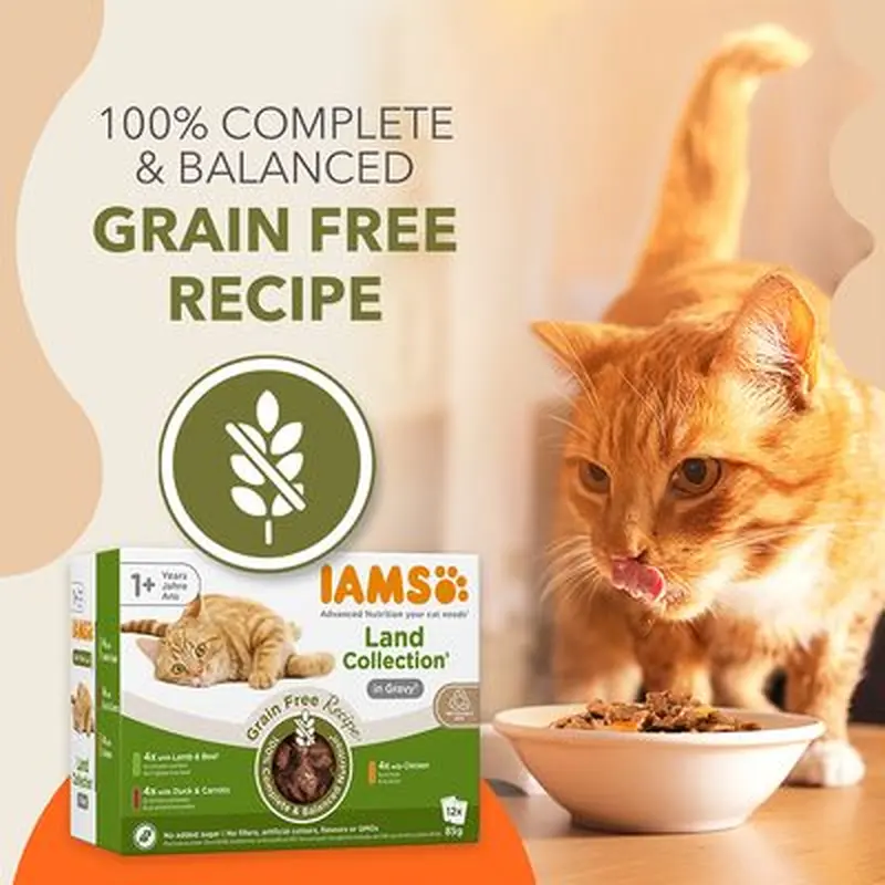 IAMS Advanced Nutrition Grain Free - Land Collection in Gravy - 12 x 85g