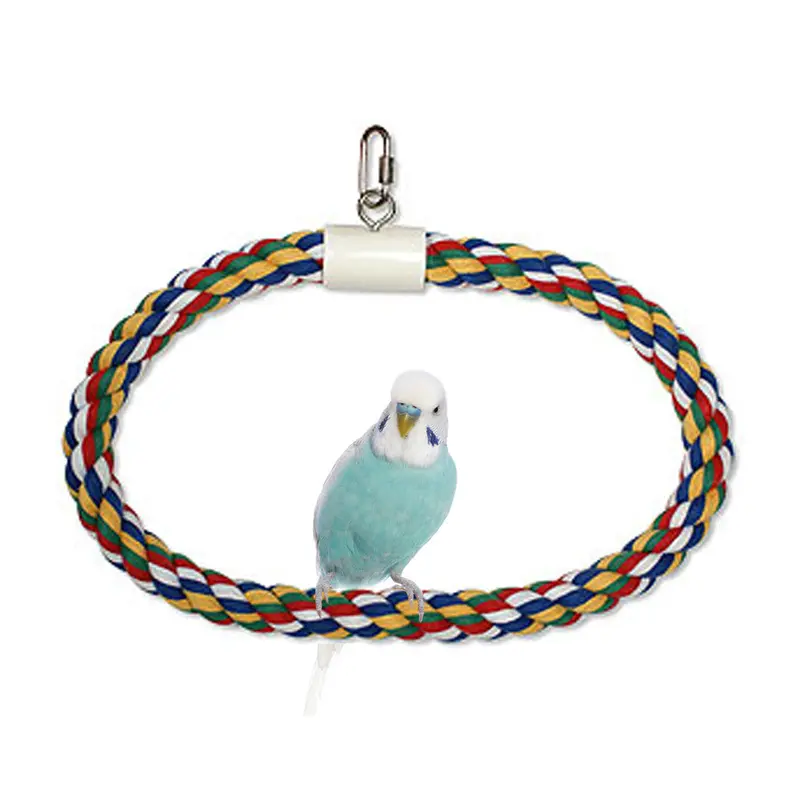 JW Pet Swing N Perch Ring Multi-Color MD