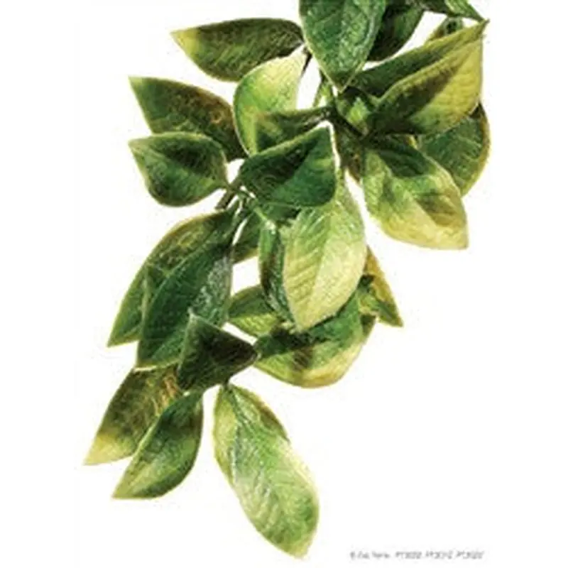 Exo Terra Plastic Plant Large Mandarin Pt3022
