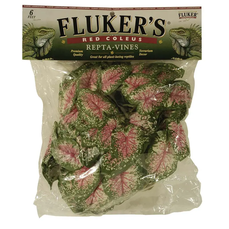Fluker's Red Coleus Repta-Vines Green, Red 6 ft