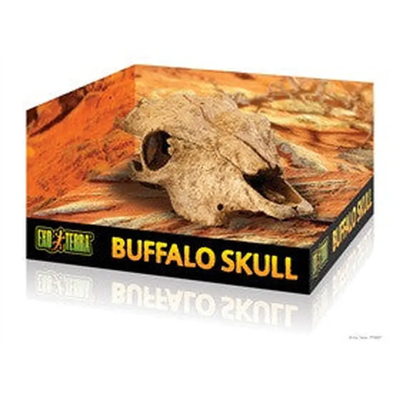 Exo Terra Terrarium Decor, Buffalo Skull Pt2857