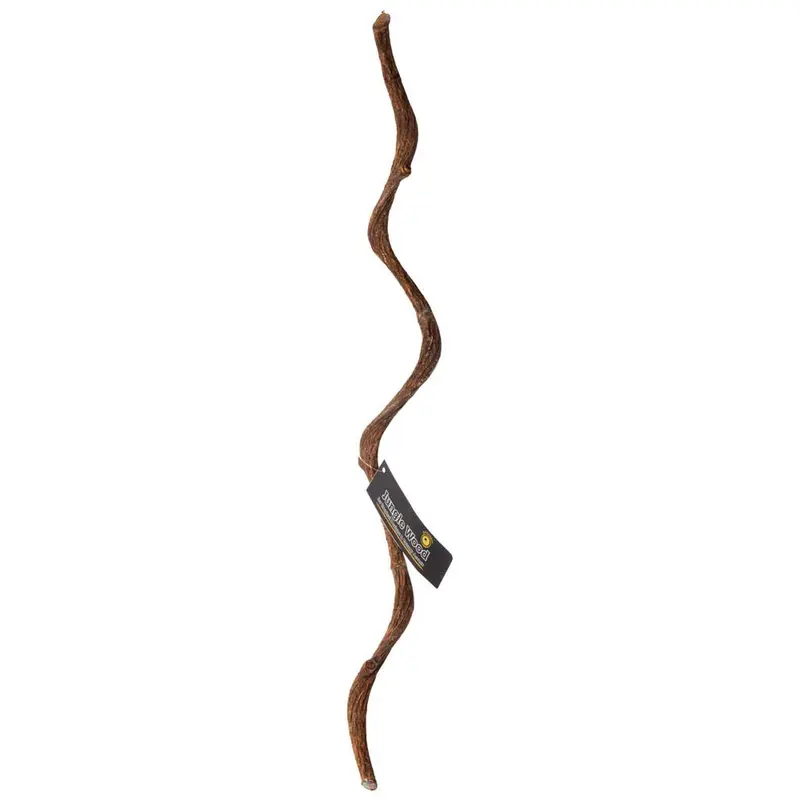 Galapagos Jungle Wood Brown 24 in