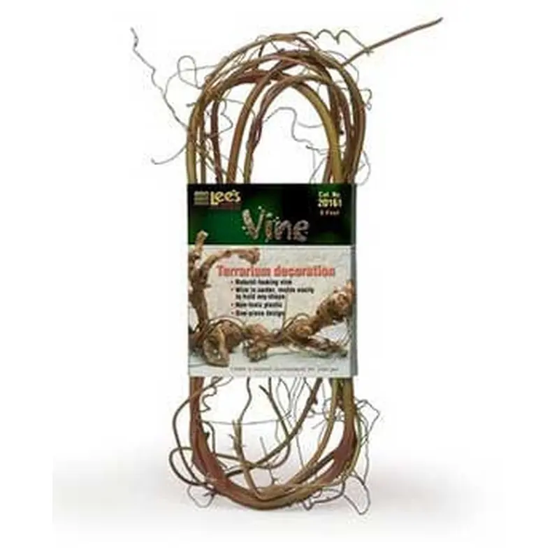 Lee's Vine 6ft (Terrarium Decoration) 