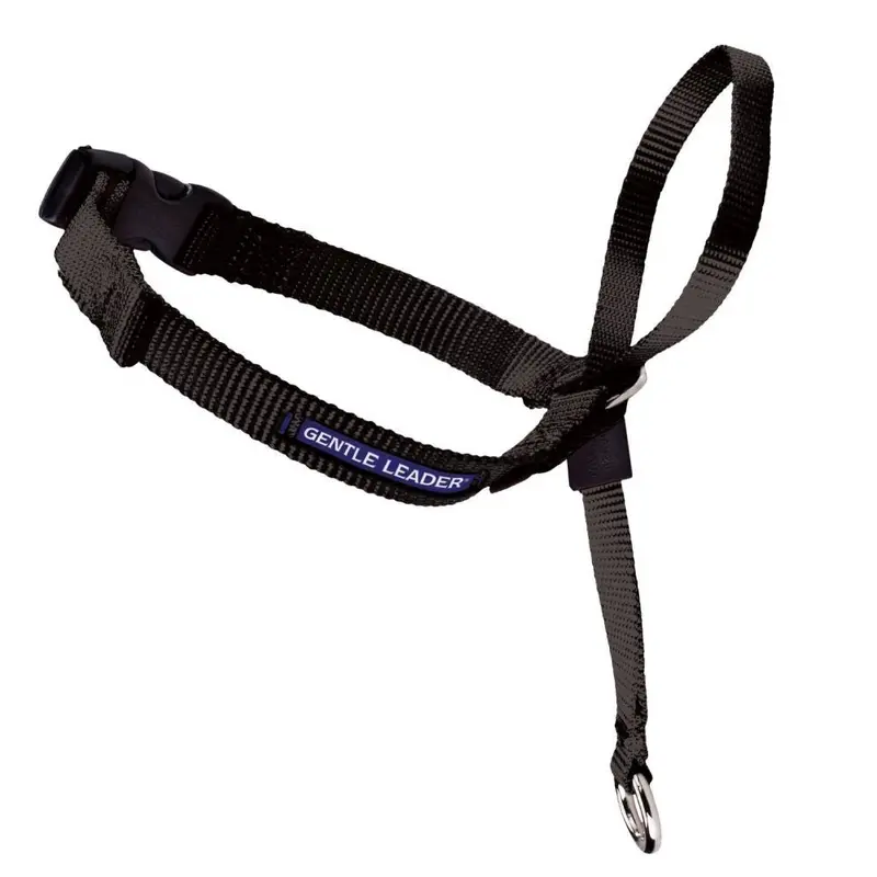 PetSafe Headcollar No-Pull Dog Collar Black SM