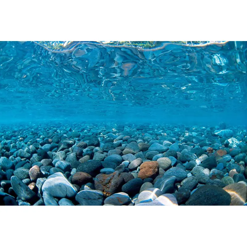 Seaview Double Sided Background River Rock & Sea of Green 12 Inches X 50 Feet