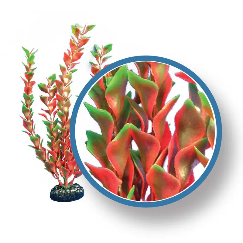 Weco Freshwater Pro Series Ludwigia Aquarium Plant Red 9 in