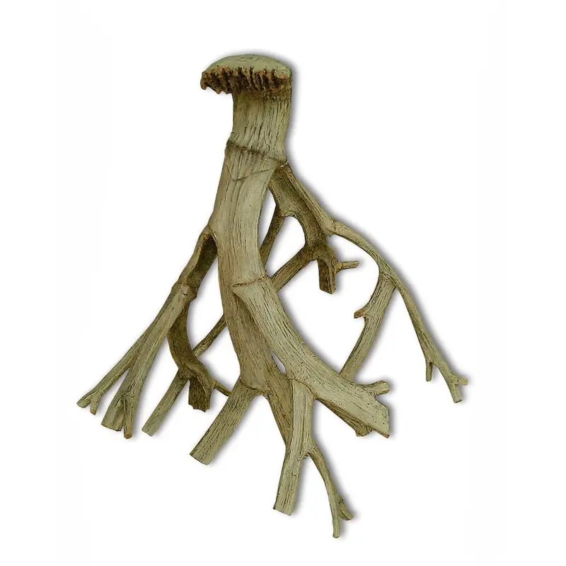 Weco Wecorama Aquarama Bone Root Brown SM
