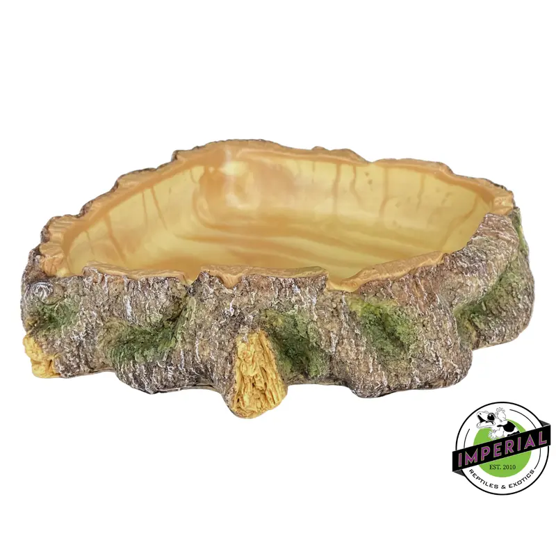 Komodo Polyresin Wood Corner Bowl Large
