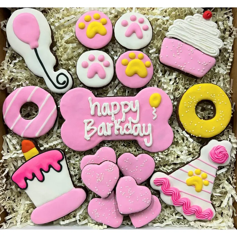 Birthday Girl SnakBox (Dog)