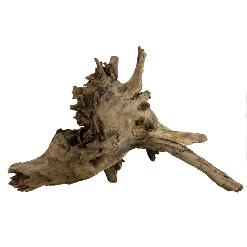 Underwater Treasures Eucalyptus Root Large