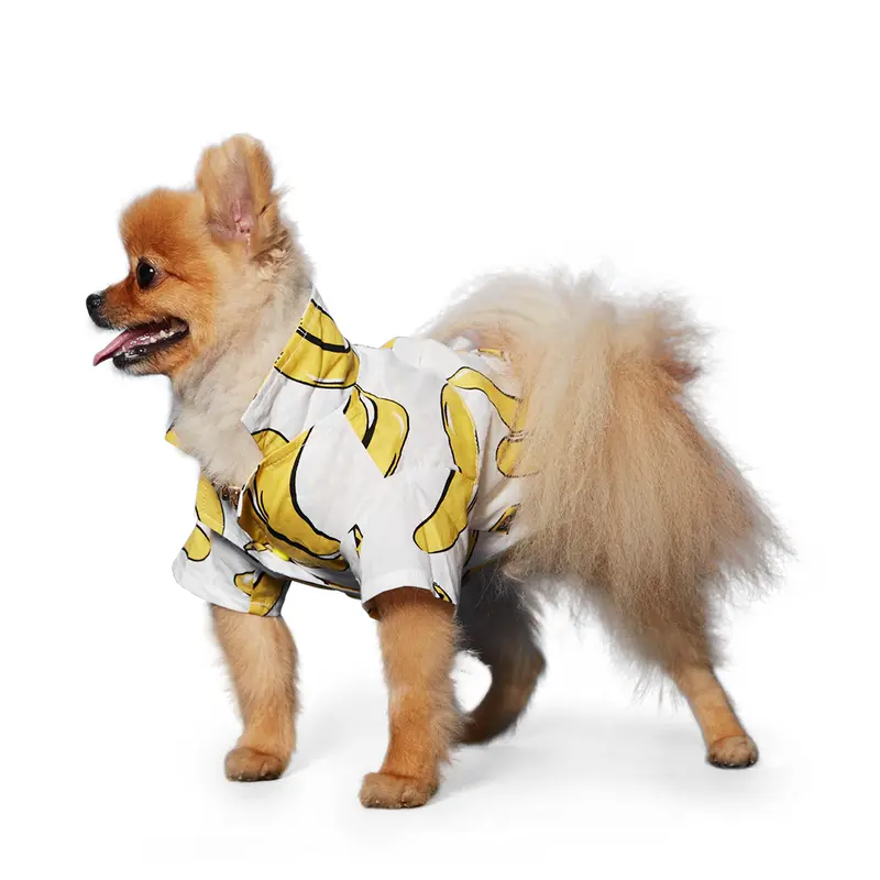 Banana Shirt
