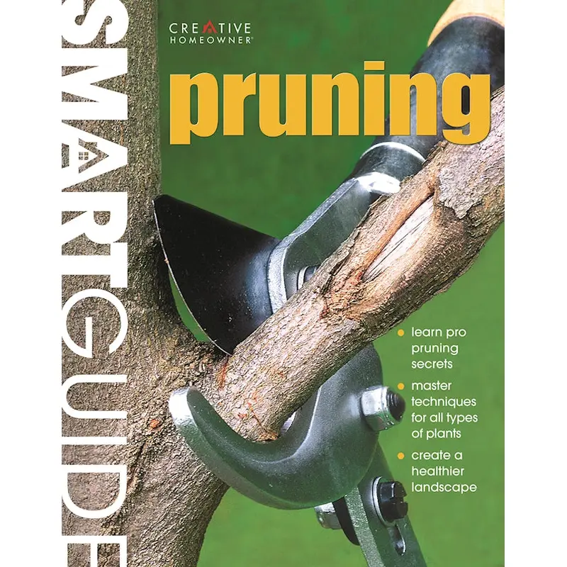 Smart Guide(R): Pruning