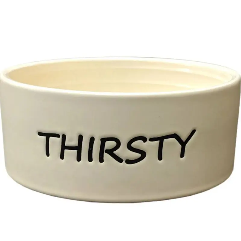 Ethical Pet Thirsty Dog Dish