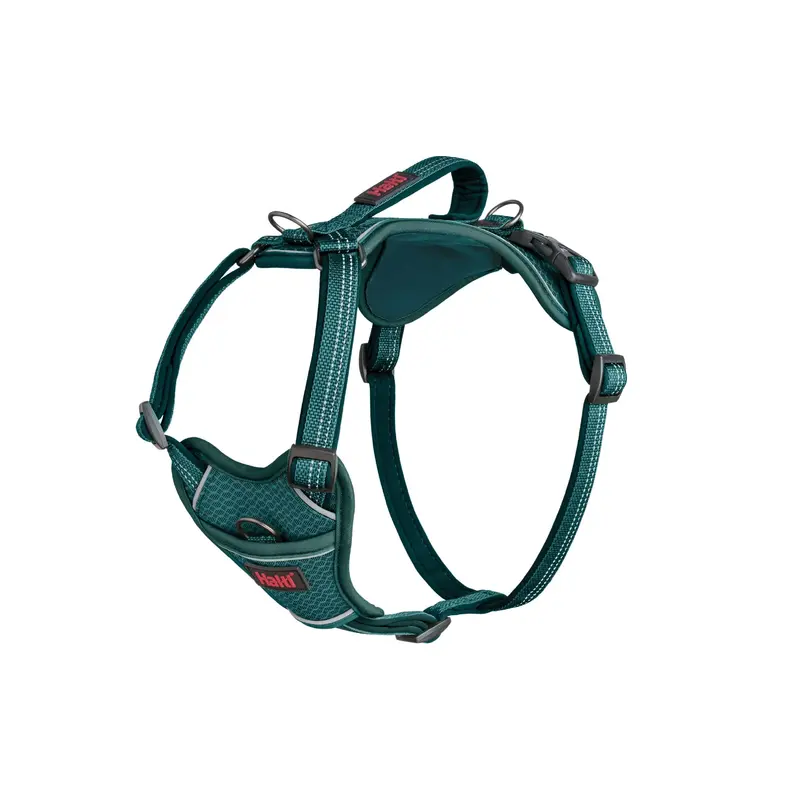 Company of Animals Halti Anatomy Harness Green Small