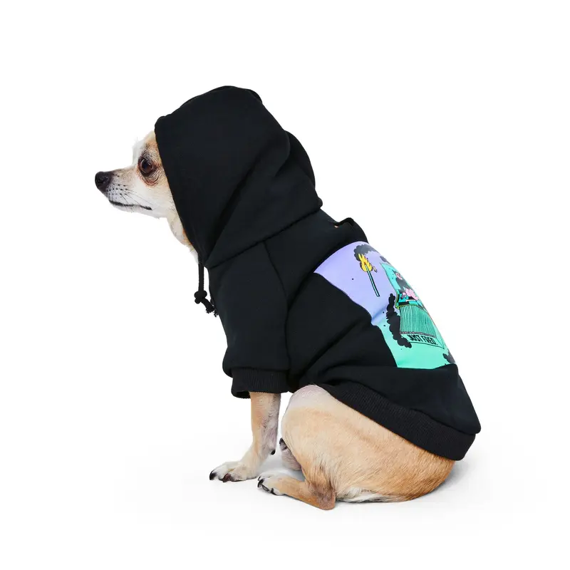 Snap Back Hoodie