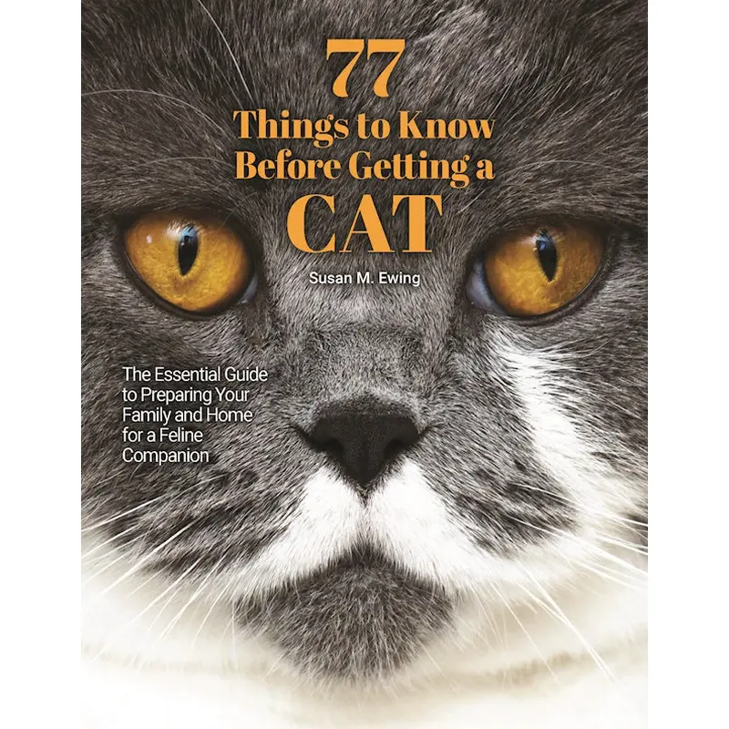 77 Things to Know Before Getting a Cat