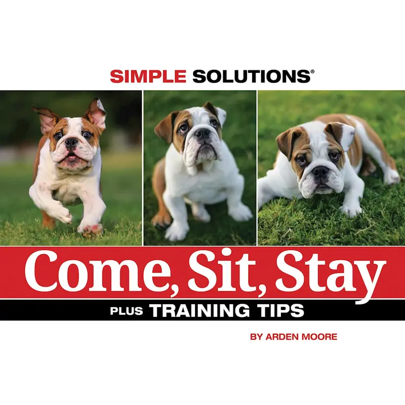 Come, Sit, Stay