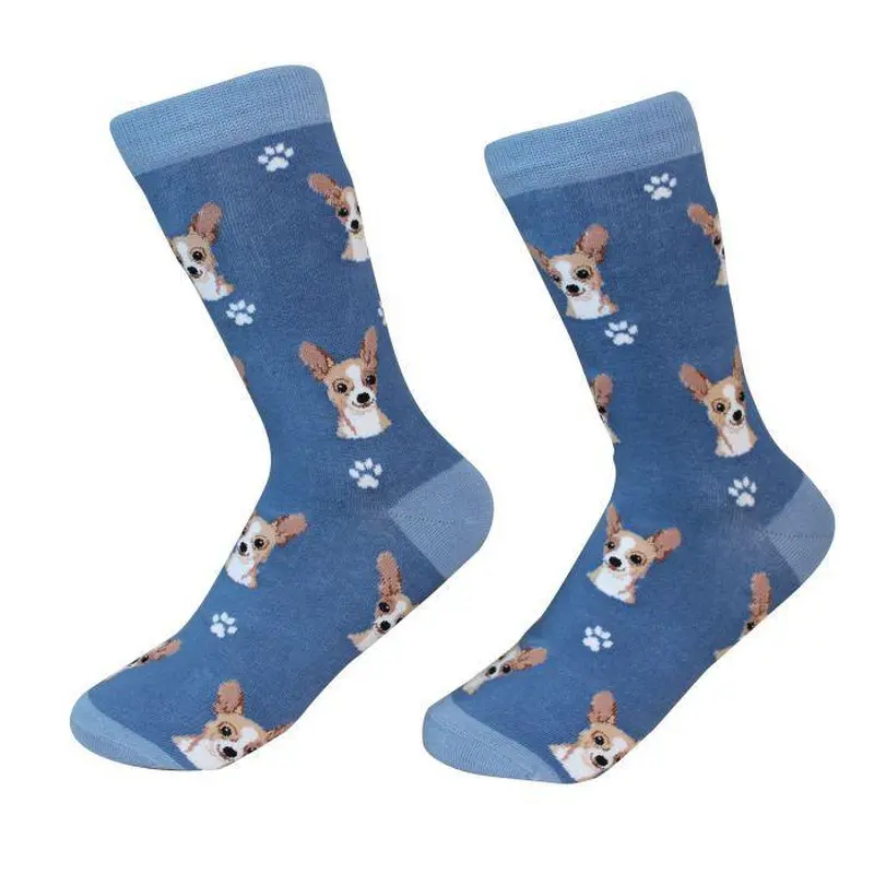 Pet Socks - Chihuahua, fawn