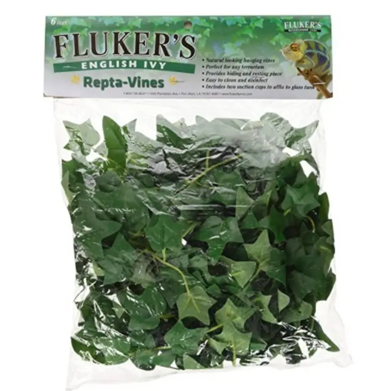Fluker's Repta Vines English Ivy
