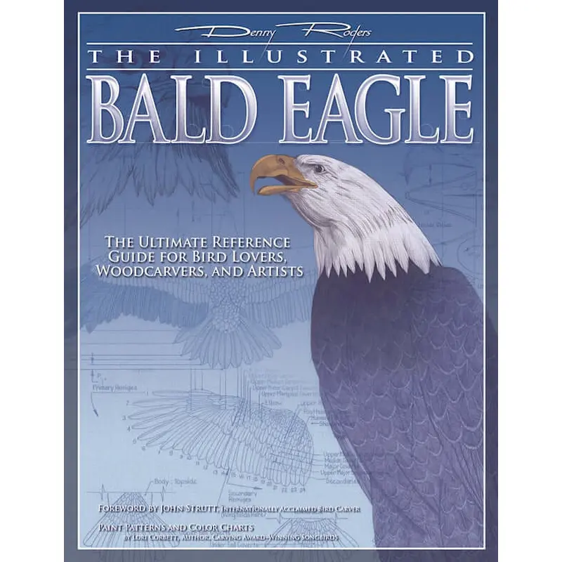 Illustrated Bald Eagle