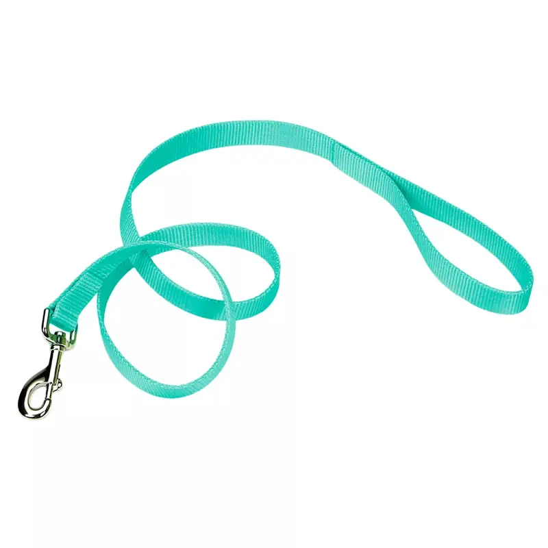 Coastal Single Ply 6ft Long 1in Dog Leash Teal
