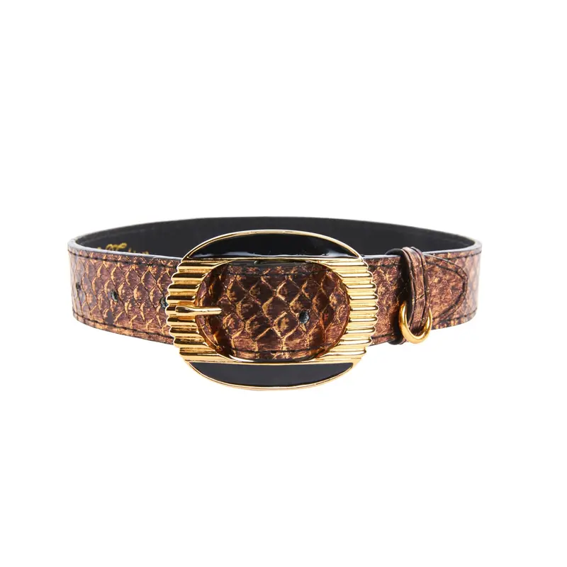 Bronze Gold Snake With Vintage Black & Gold Custom Italian Hardware Collar