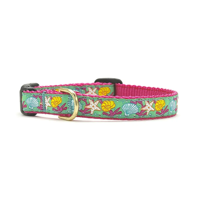 Reef Small Breed Dog Collar