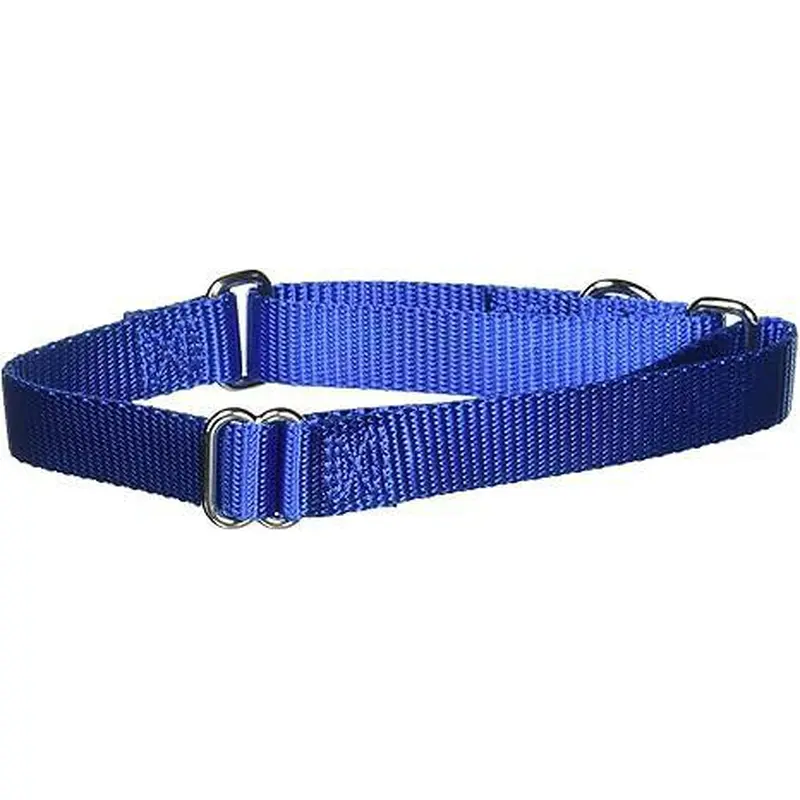 Pet Safe Martingale Collar