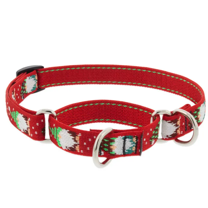 Lupine Martingale Training Dog Collar 3/4" Wide 10"-14" Neck Size Gnomes
