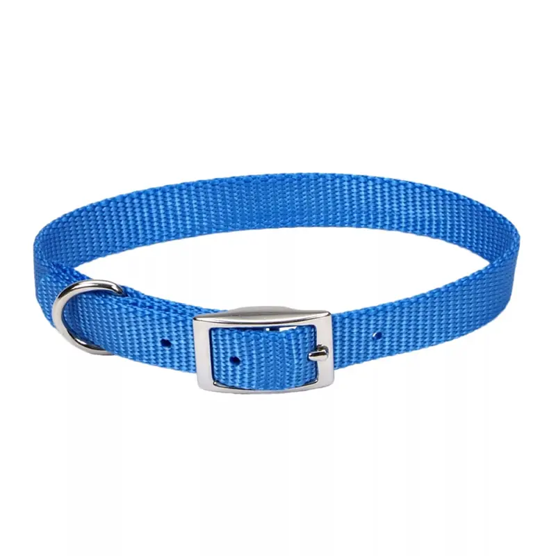 Coastal Single Ply 3/4in Wide 18in Dog Collar Blue Lagoon