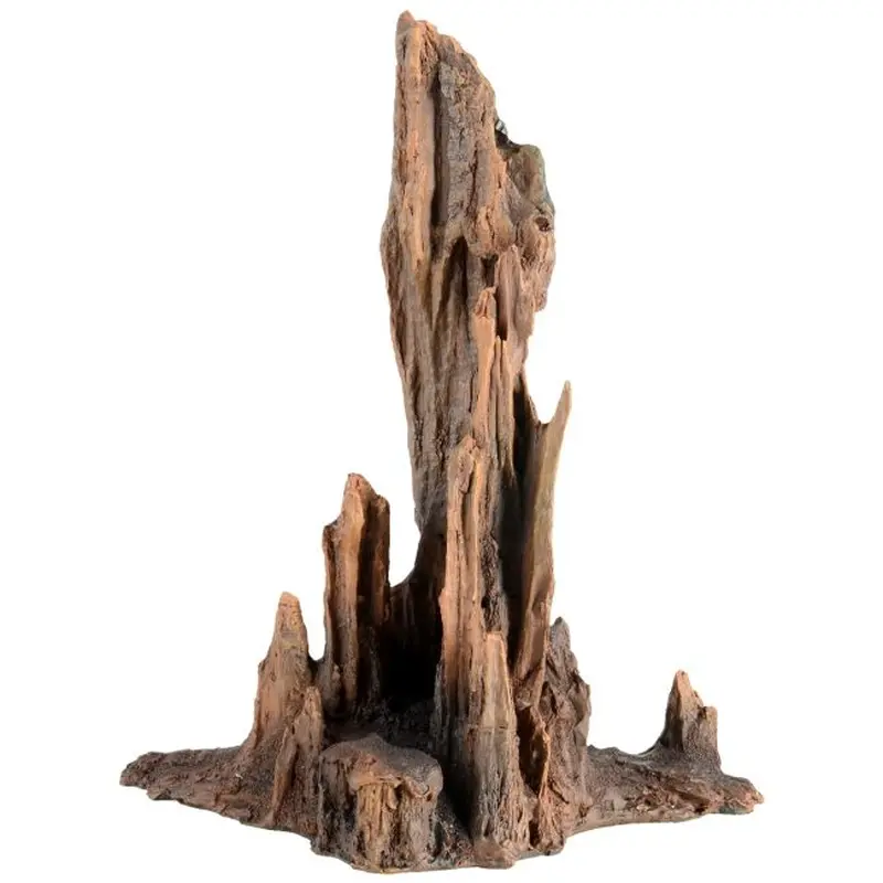 Underwater Treasures Petrified Wood Large