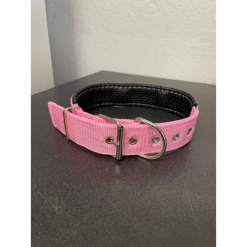 Dog Collar - 24" Medium Cushioned