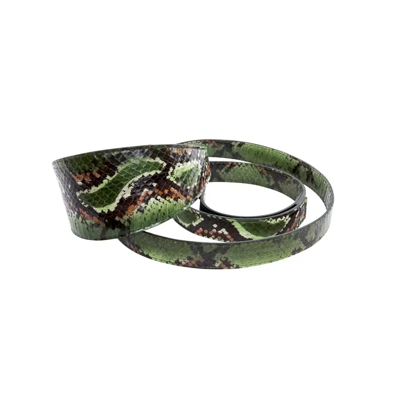 Multi Color Green Snake 3 Wide Style Collar & Leash Set