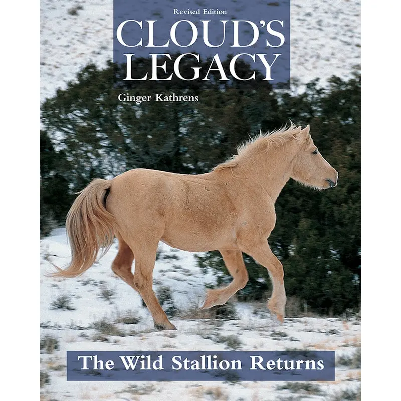 Cloud's Legacy