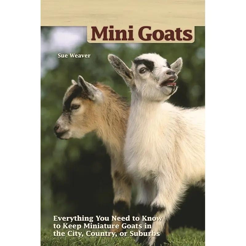 Mini Goats