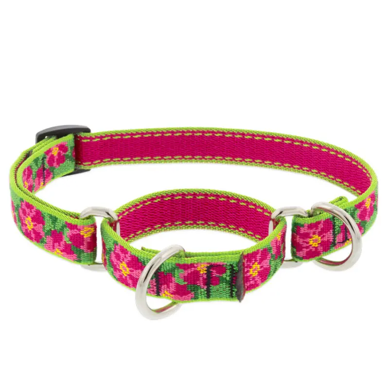 LUPINE Martingale Training Dog Collar 3/4" Wide 14"-20" Neck Size Petunias