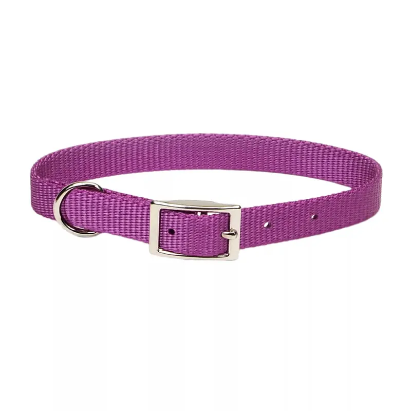 Coastal Single Ply 3/4in Wide 18in Dog Collar Orchid