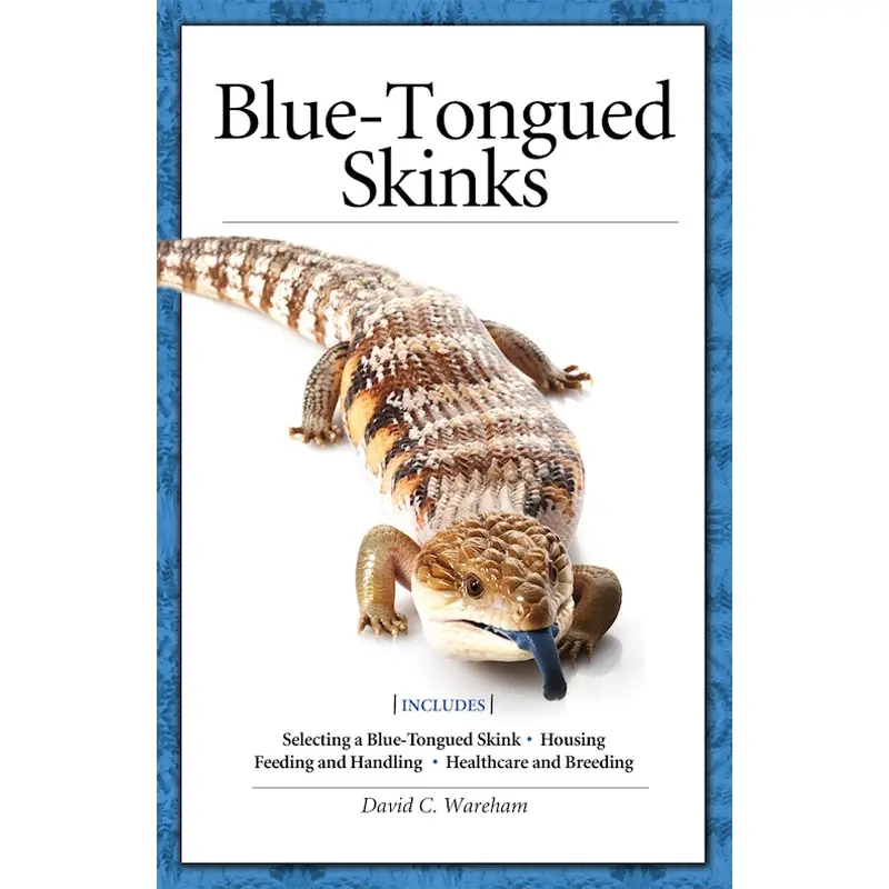 Blue-Tongued Skinks