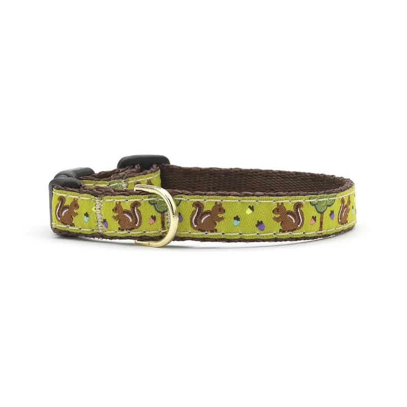 Nuts Small Breed Dog Collar