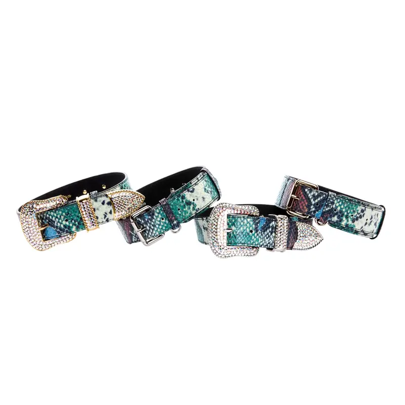 Green, Blue, Black, Red Embossed Snake Italian Leather Collar With Gold Swarovski & Classic Hardware & Gold & Silver Classic Hardware Set Of 4