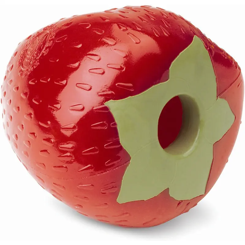 Planet Dog Strawberry