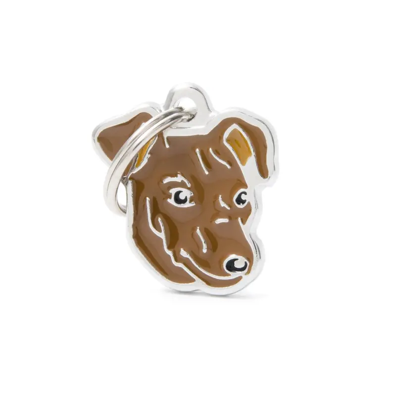 My Family ID Friends Red Pinscher ID Tag