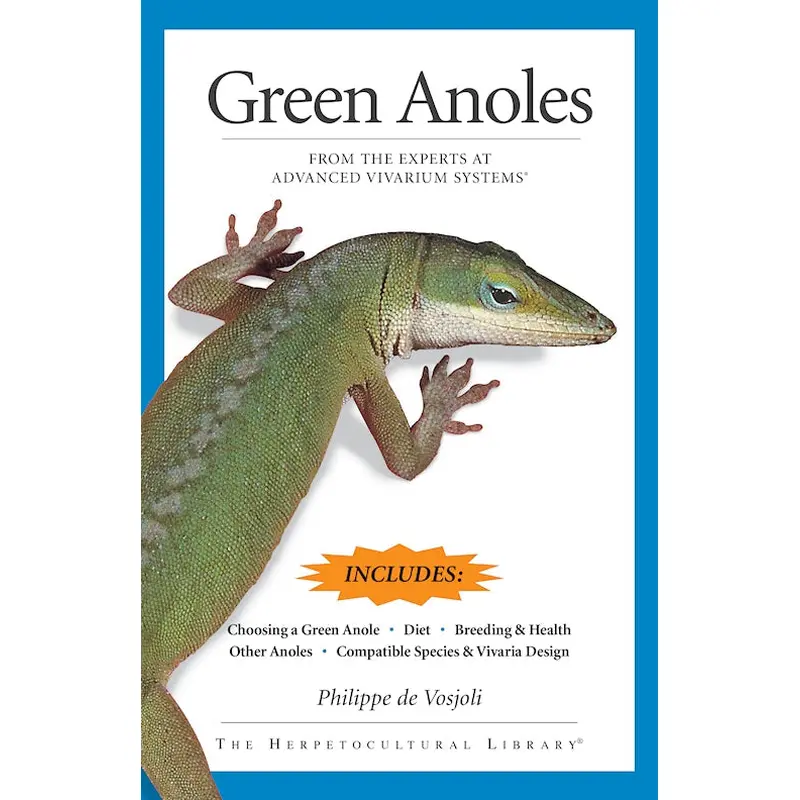 Green Anoles