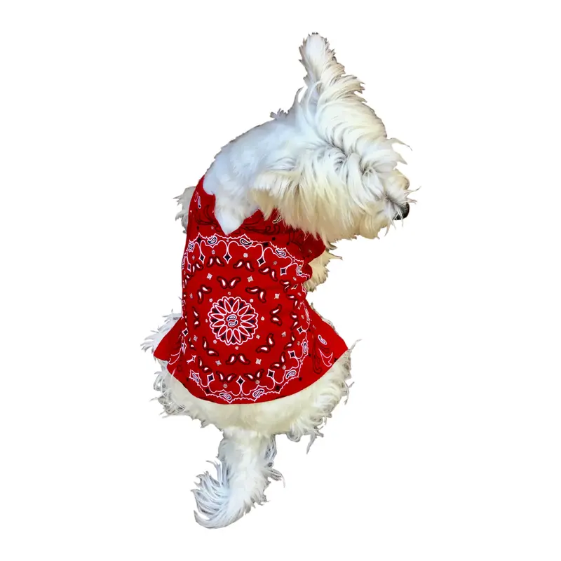Bandana Dog Tee, Red