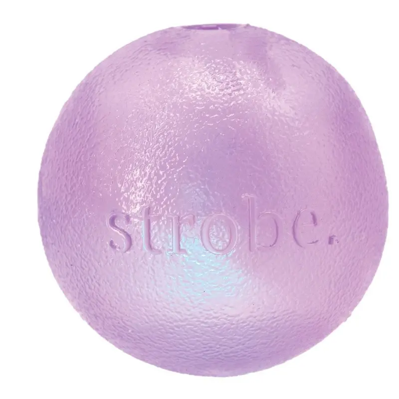 Planet Dog Orbee Strobe Ball Light Up LED Purple Dog Toy