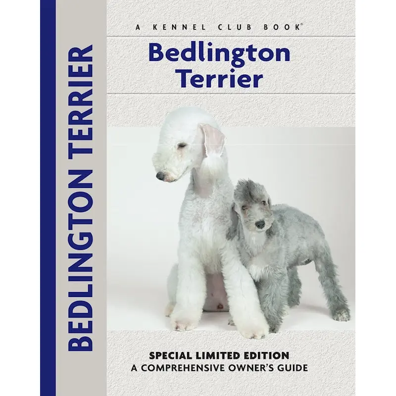 Bedlington Terrier